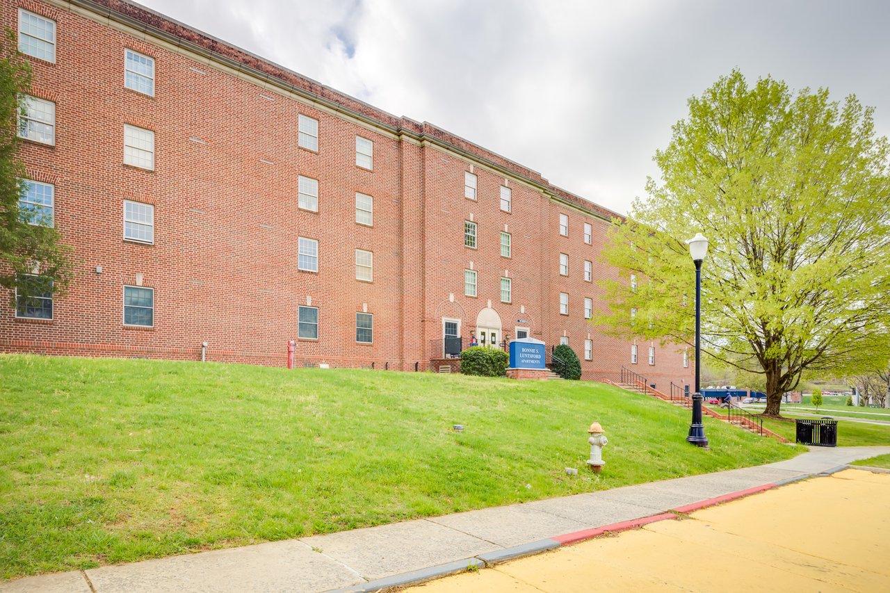 An exterior view of Bonnie S. Luntsford, a brick residential hall with a flowering tree and a yellow sidewalk out front.