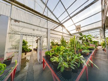 Self-Guided Tour - Horticulture Science Center Greenhouse