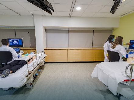 Ultrasound - Ultrasound Lab