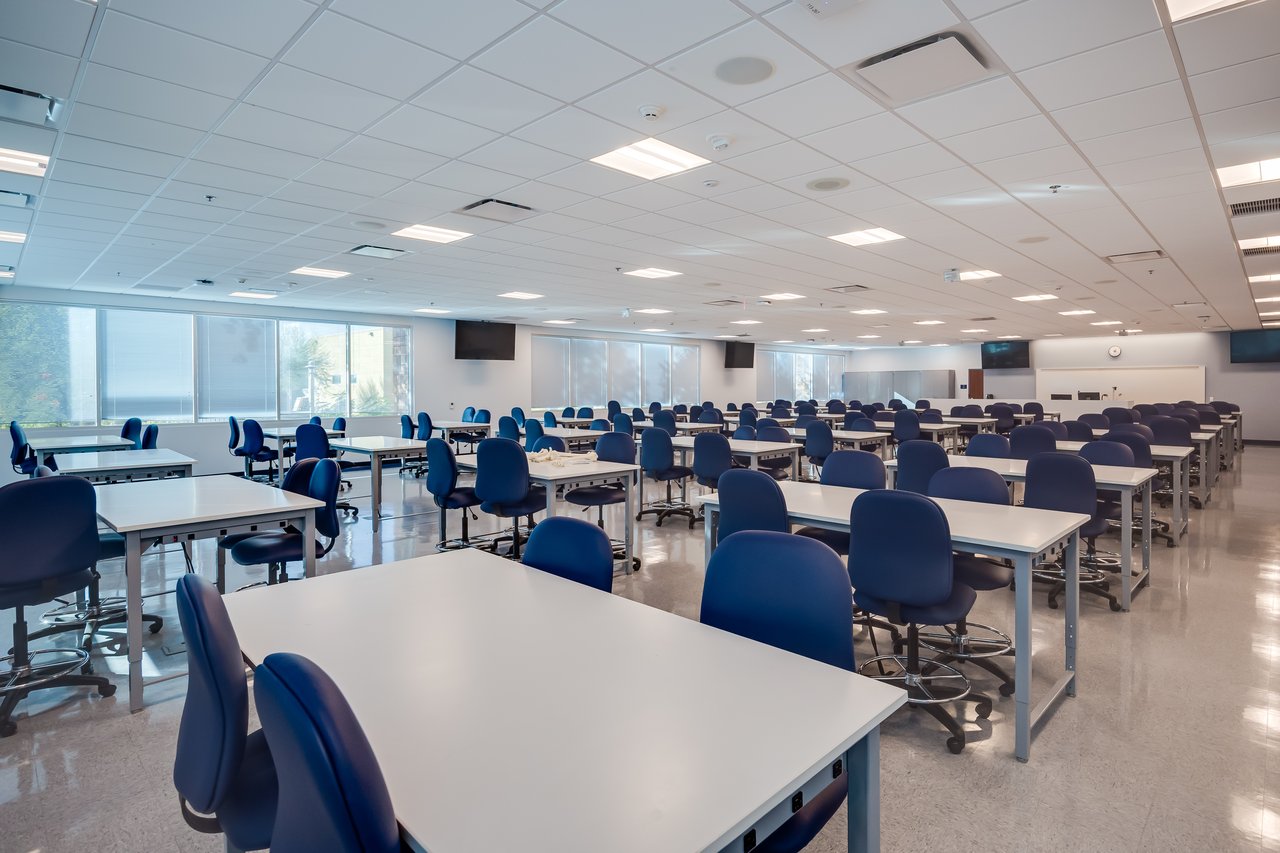 A spacious, modern classroom with rows of tables and chairs, bright windows, and minimalistic decor.