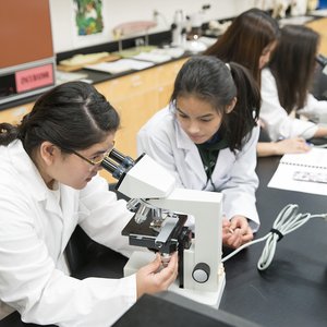 Science Poly Student Red Deer Polytechnic Virtual Tour - Sciences