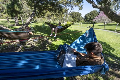 Aldrich Park Hammocks