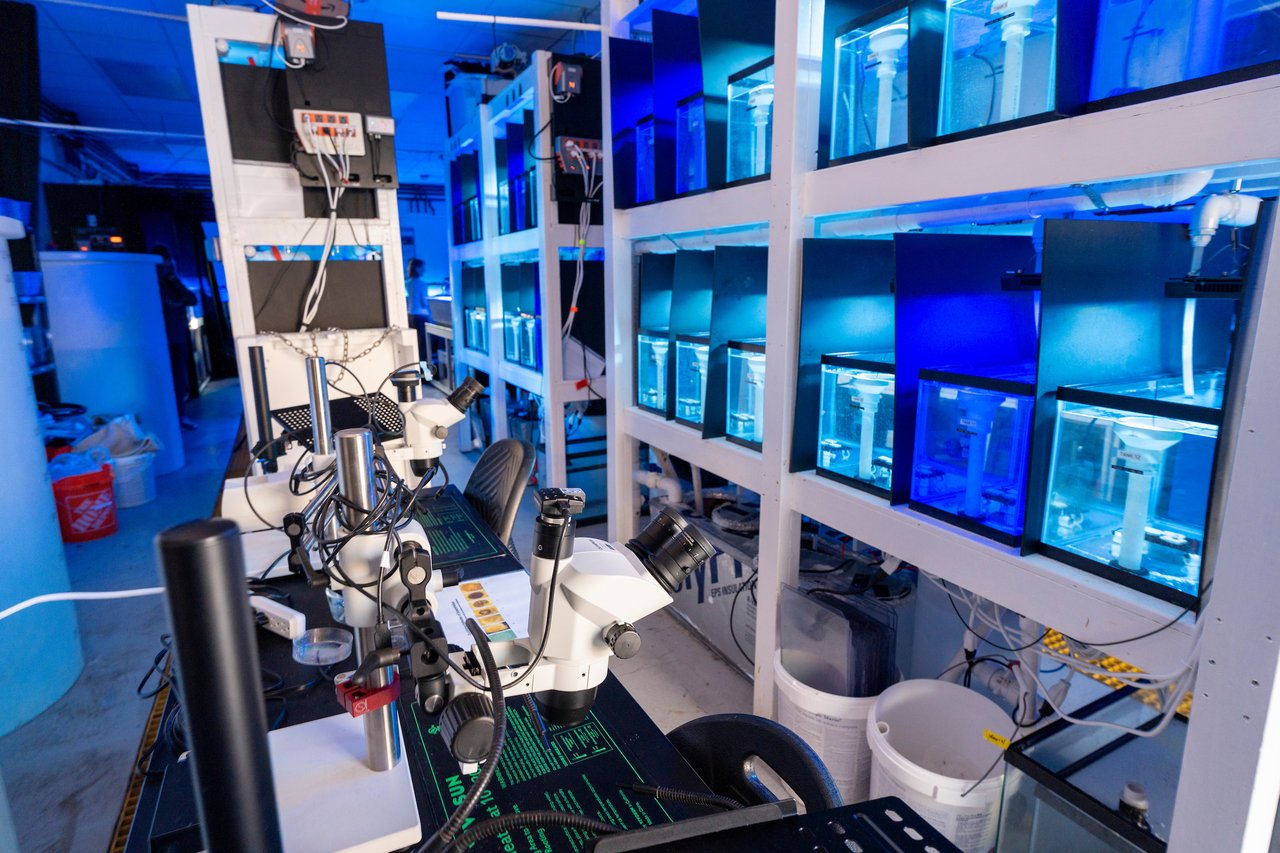 UNCW Campus - Center for Marine Science (CMS)